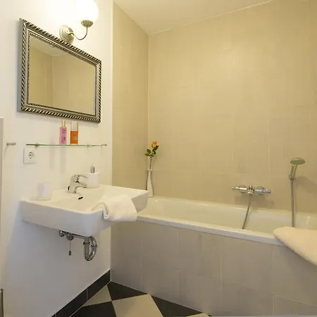 公寓 阿尔卑斯旅行公寓 *