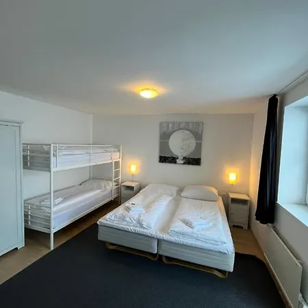 阿尔卑斯旅行公寓 公寓 巴德加斯坦