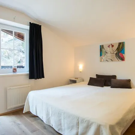 阿尔卑斯旅行公寓 巴德加斯坦