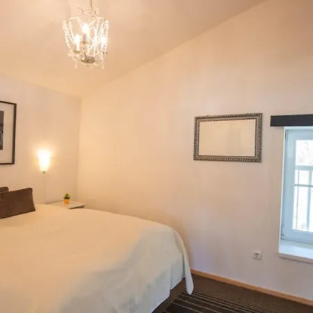 阿尔卑斯旅行公寓 公寓 *