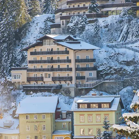 公寓 阿尔卑斯旅行公寓 巴德加斯坦