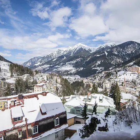 公寓 阿尔卑斯旅行公寓 *